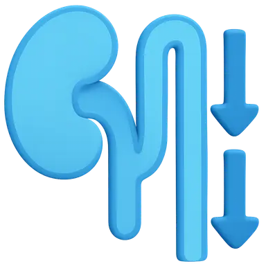Sodium and potassium handling in RAAS