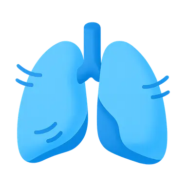 Respiratory Adaptations to Exercise