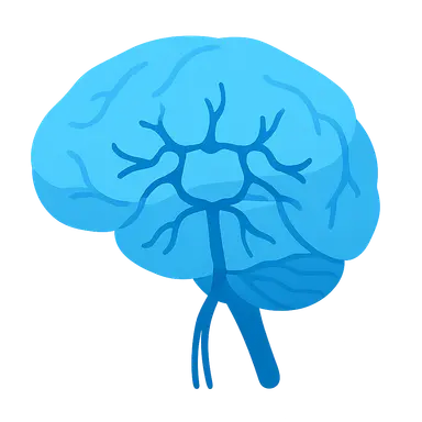 Venous drainage of brain