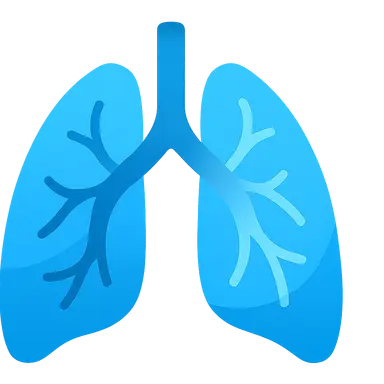 Pulmonary circulation hemodynamics