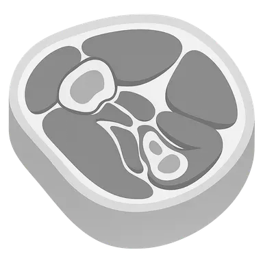 Upper limb cross-sections