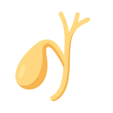 Biliary Tract Imaging