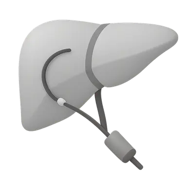 Interventional Radiological Anatomy