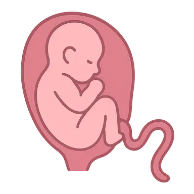 Umbilical cord prolapse