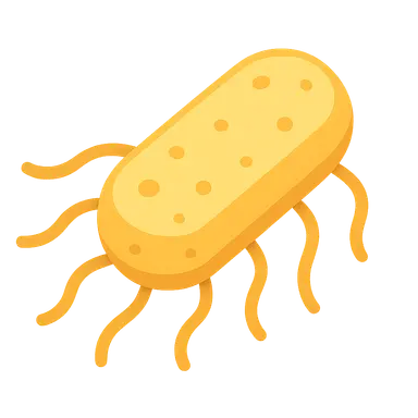 Foodborne bacterial pathogens