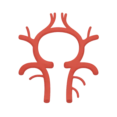 Variations in circle of Willis
