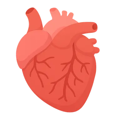 Myocarditis and cardiomyopathies