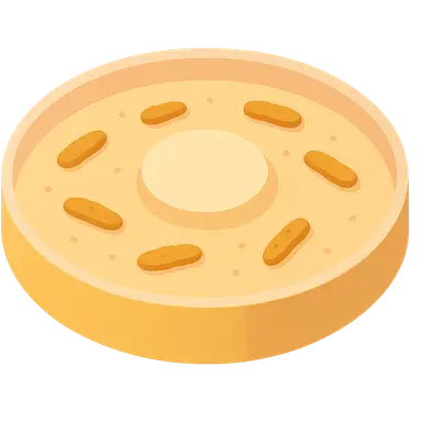 Antimicrobial susceptibility testing