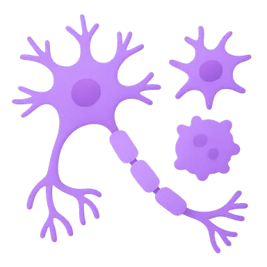 Neurons and Glial Cells