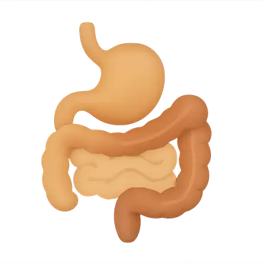 Gastrointestinal Tract Imaging
