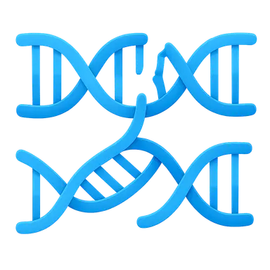 Homologous recombination