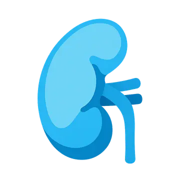 Metabolic acidosis mechanisms and compensation