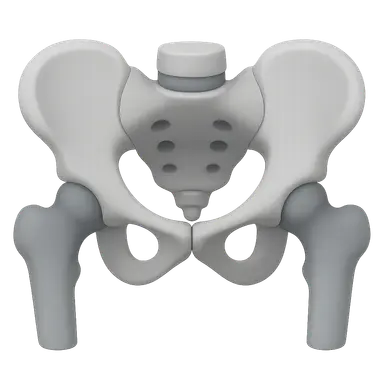 Musculoskeletal radiologic landmarks