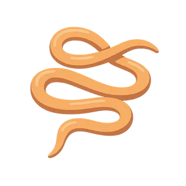 Intestinal Helminths: Nematodes