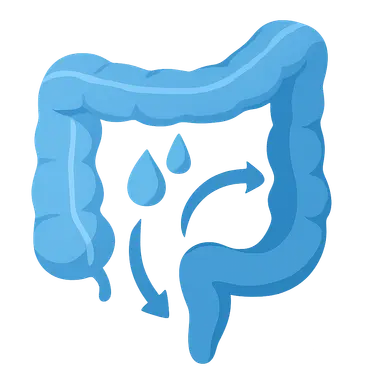 Water and electrolyte handling in GI tract