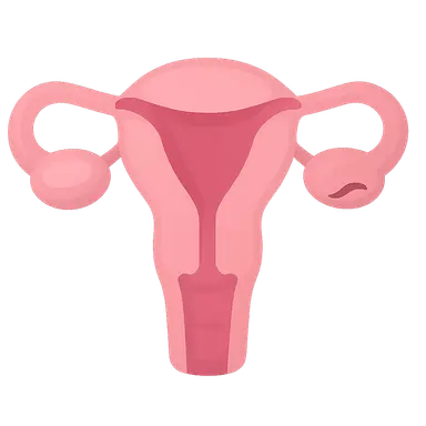 Secondary Amenorrhea