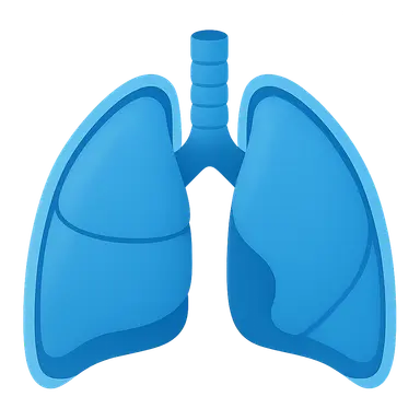 Pleura and Lungs