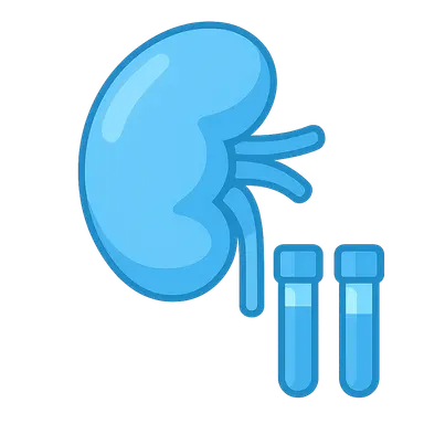 Kidney Function Tests