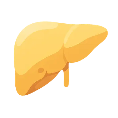 Liver Diseases in Children