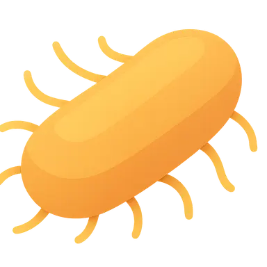 Bordetella pertussis