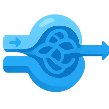 Renal blood flow autoregulation