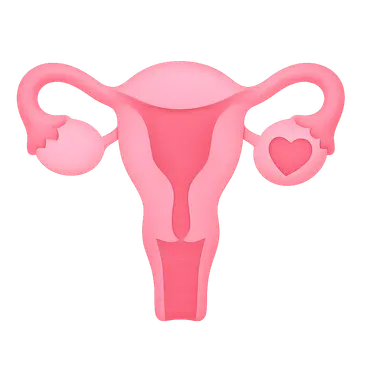 Palliative Care in Gynecologic Oncology