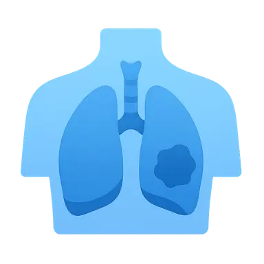 Applied Anatomy and Clinical Correlations