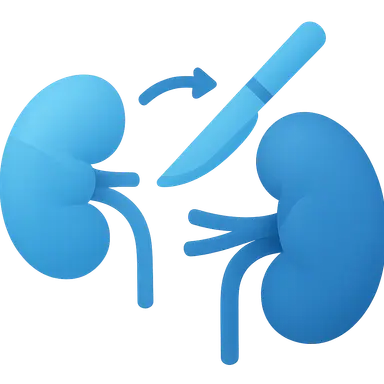 Kidney transplantation