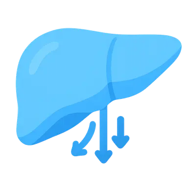 Ammonia Detoxification Pathways