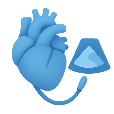 Transesophageal Echocardiography