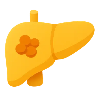 Metabolism of Xenobiotics