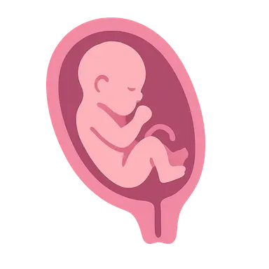 Parturition physiology