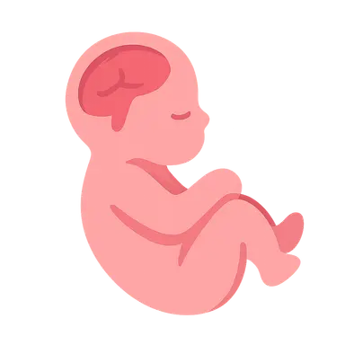 Congenital Anomalies