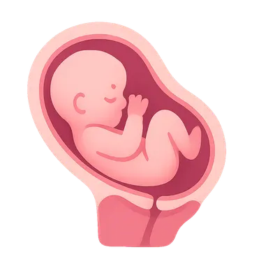 Vaginal Birth After Cesarean