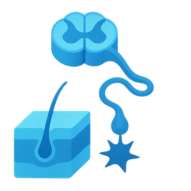 Pain Physiology and Pathways