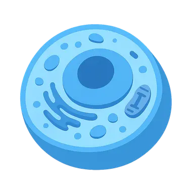 Cell Structure and Function