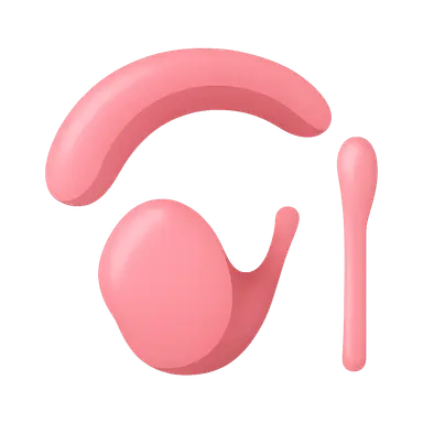 Third pharyngeal arch derivatives