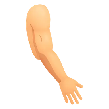 Upper limb surface landmarks