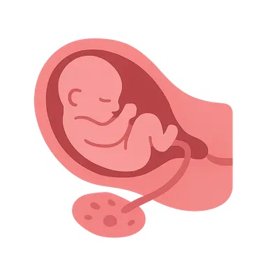 Third stage of labor