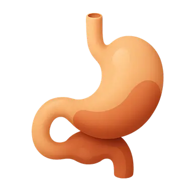 Foregut development and derivatives