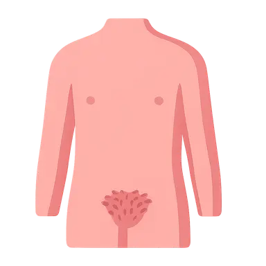 Puberty stages (Tanner stages)