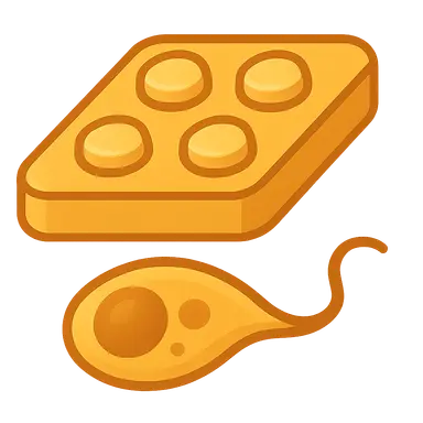 Antiparasitic drugs (antiprotozoals)