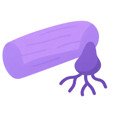 Smooth Muscle Physiology