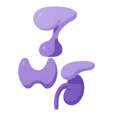 Hypothalamic-pituitary axis
