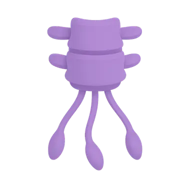 Parasympathetic sacral outflow
