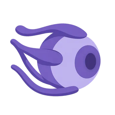 Cranial Nerve Palsies