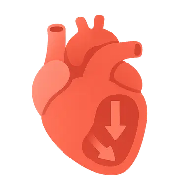 Ventricular filling dynamics