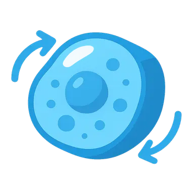 Cell Volume Regulation