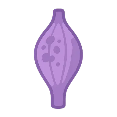 Muscular dystrophies