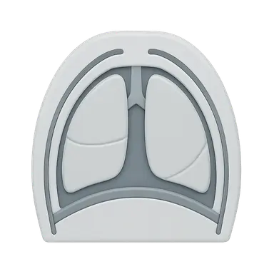 Thoracic fascial planes